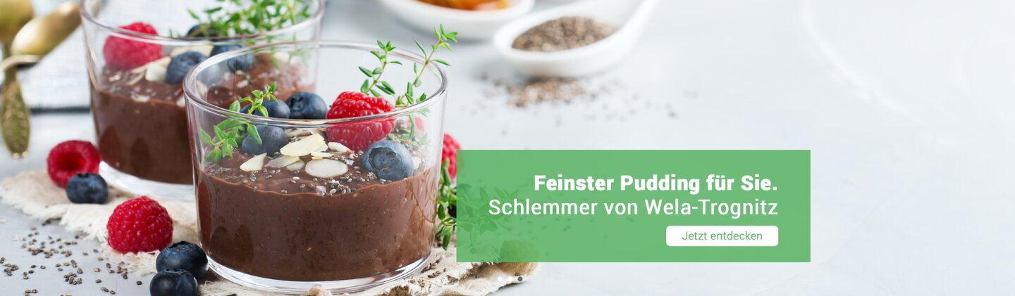 Suppen-Shop präsentiert den Schlemmer Pudding von Wela-Trognitz!